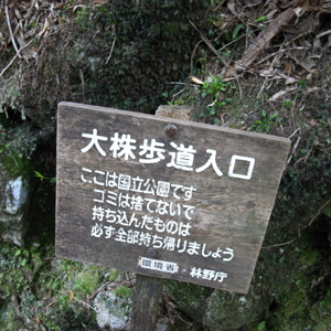 20090510_5